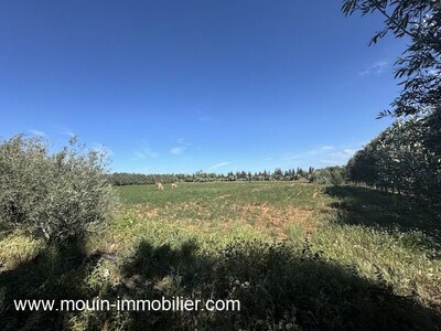 FERMES LES EMERAUDES I Somaa Beni Khiar II