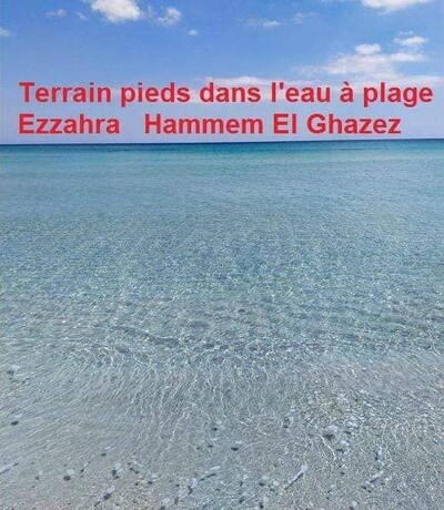 terrain les pieds dans l'eau a plage ezahra kelibia