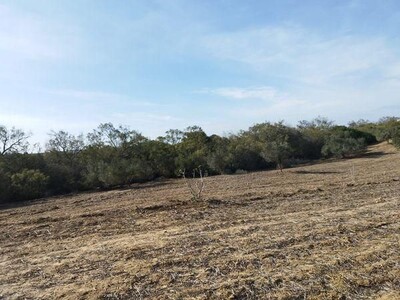 terrain agricole arboré