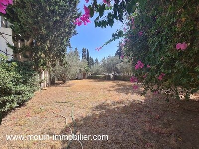 VILLA TALIA Hammamet II NORD III