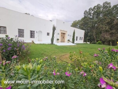 Villa Isabelle A Hammamet
