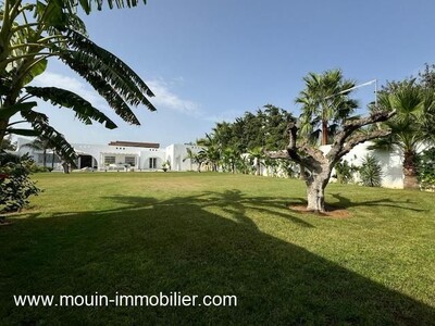 VILLA TASNIM Hammamet Zone Théâtre II