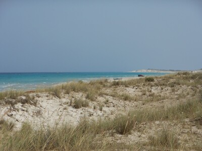 10 000 m² cote el haouria