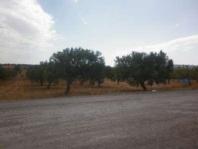 AV Terrain 750m a la compagne de hammamet