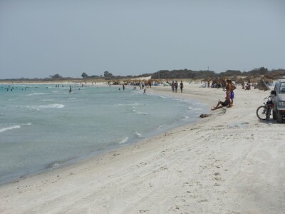 A VENDRE UN TERRAIN DE 10 000 M²