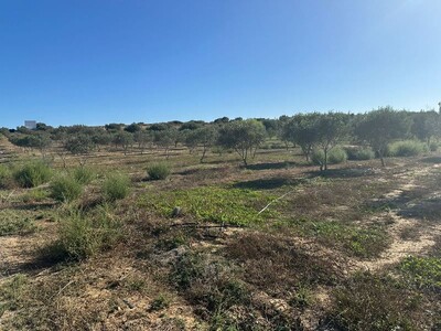Terrain REVE HAMMAMET DOUIKHLA