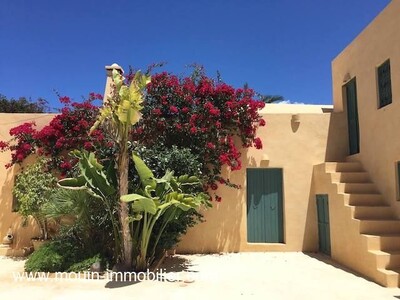 DAR EL WARD Djerba II