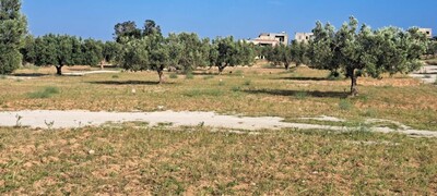 300m a bassbesya hamammet sud