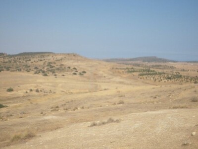 Terrain 60 hectar jradou