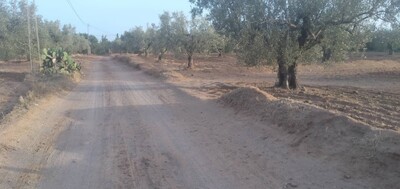 1000m hamammet Sud 65MD