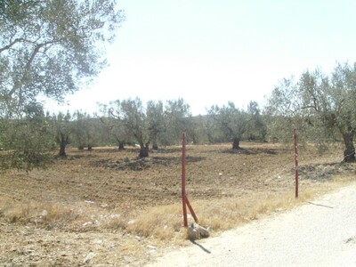 AV un terrain situé à birbouragba