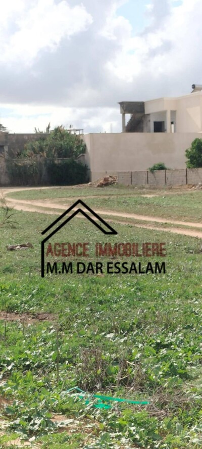 un lot de terrain à dar allouche