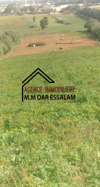 terrain agricole vue de mer à el haouaria