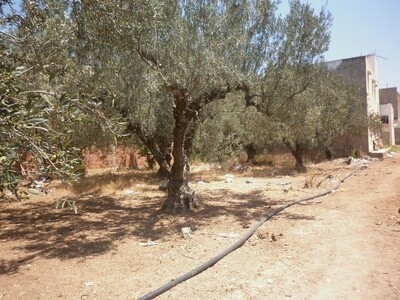 AV Terrain 234m a birbouragba hammamet
