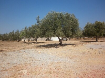 AV Terrain a Kharrouba Hammamet vue mer