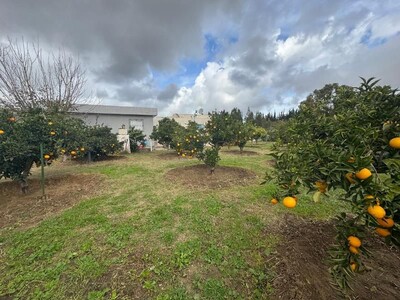 Maison GENTIANE Réf s+2