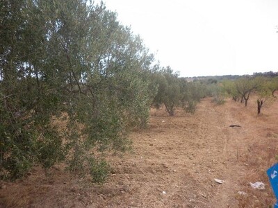 AV Terrain 1000m a la compagne de Hammamet