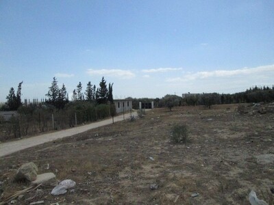 AV Terrain 1000m Sidi Hamed a 10 min de Hammamet