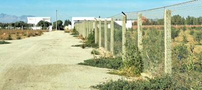 1000m elkhomssa hamammet sud