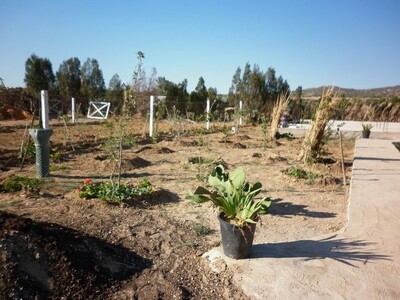 AV Terrain 530m 10min de Hammamet