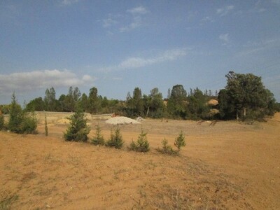 Terrain 1000m a sidi Hamed Hammamet