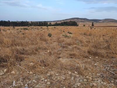 À vendre : terrain agricole de 2 hectares avec façade de 100 m su