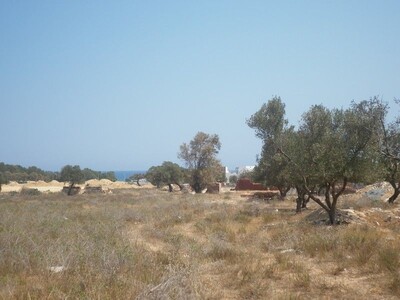 Terrain a Hammamet nord pour promotion immobilière