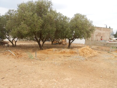 vente terrain à bâtir à hammamet nord