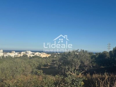 Terrain Rahma à kharrouba hammamet Nord