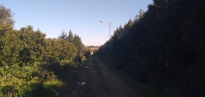 AV terrain a borj hfaiedh 2000 m
