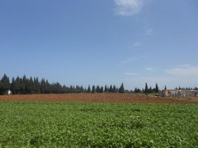 Farmland for sale zone Sahline Manzel Harb