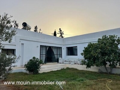 VILLA LILY Hammamet Sud Sidi Hammed II I