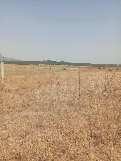 AV terrain 7 hectares route zaghouan hammamet