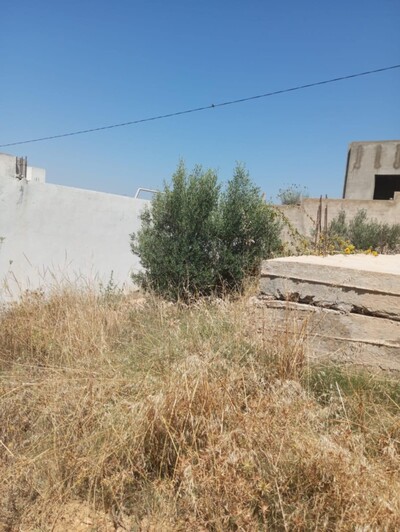 terrain de 200m fondation à hammamet