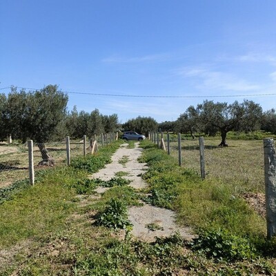 AV terrain 1680m à hammamet sud
