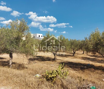 Terrain avec double Façade à Hammamet Nord