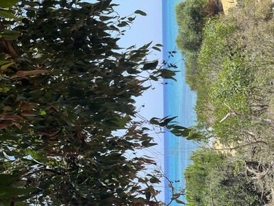 occasion de terrain de 1000 m²