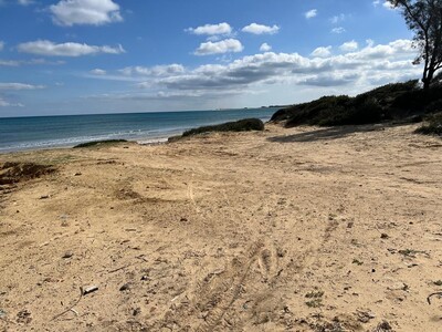 terrain entre kelibia et dar allouche
