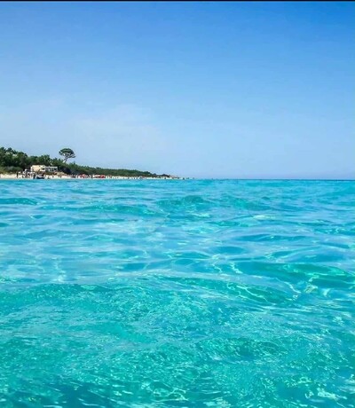 un terrain a saisir de 10 000 m²