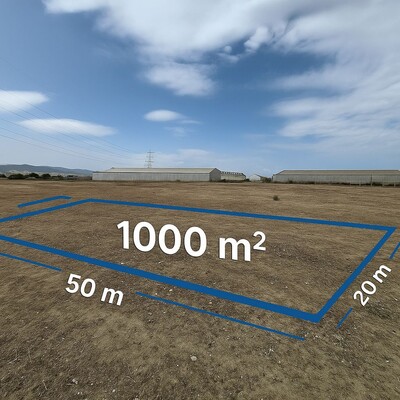 Terrain agricole à vendre à Grombalia – El Fondok Jedid près de