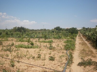 AV Terrain Agricole 7000m borj hfaidh Hammamet