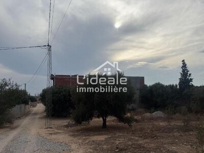 Terrain Ramla à Hammamet Zone Sidi Hamed