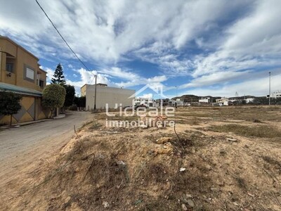 À VENDRE – Terrain Exceptionnel à Hammamet Nord Ceinture Nabeul