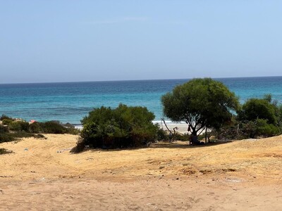 TERRAIN AU BORD DE LA MER DE 1 HA