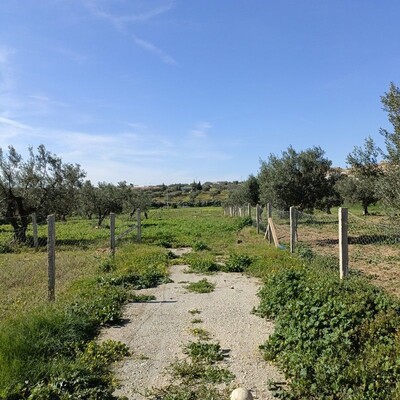 AV terrain de 1680m à Monchar hammamet sud