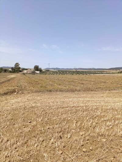 AV beau terrain de 4900m à hammamet sud