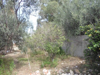 AV un terrain enface hotel sindbad Hammamet