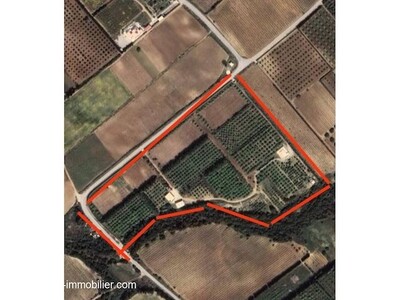 Ferme Hela AV à Nabeul