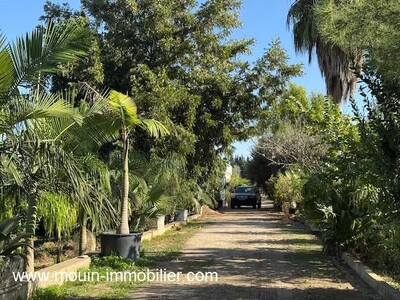 Ferme Beni Khaled II Av à Nabeul