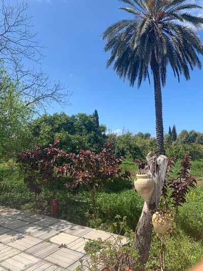 Maison FARIDA MENZEL BOUZALFA